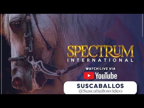 SPECTRUM INTERNACIONAL DIA 3 – WORLD EQUESTRIAN CENTER – OCALA FLORIDA