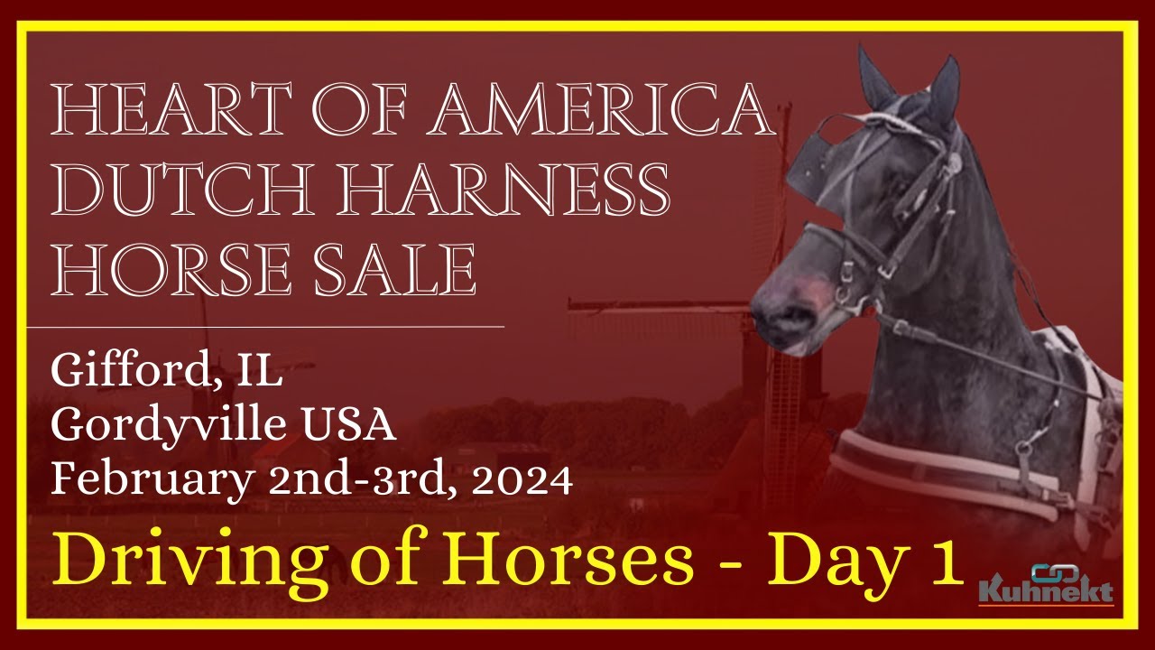 Preview of Sale Hoses Day 1 2024 Heart of America Dutch Harness Sale