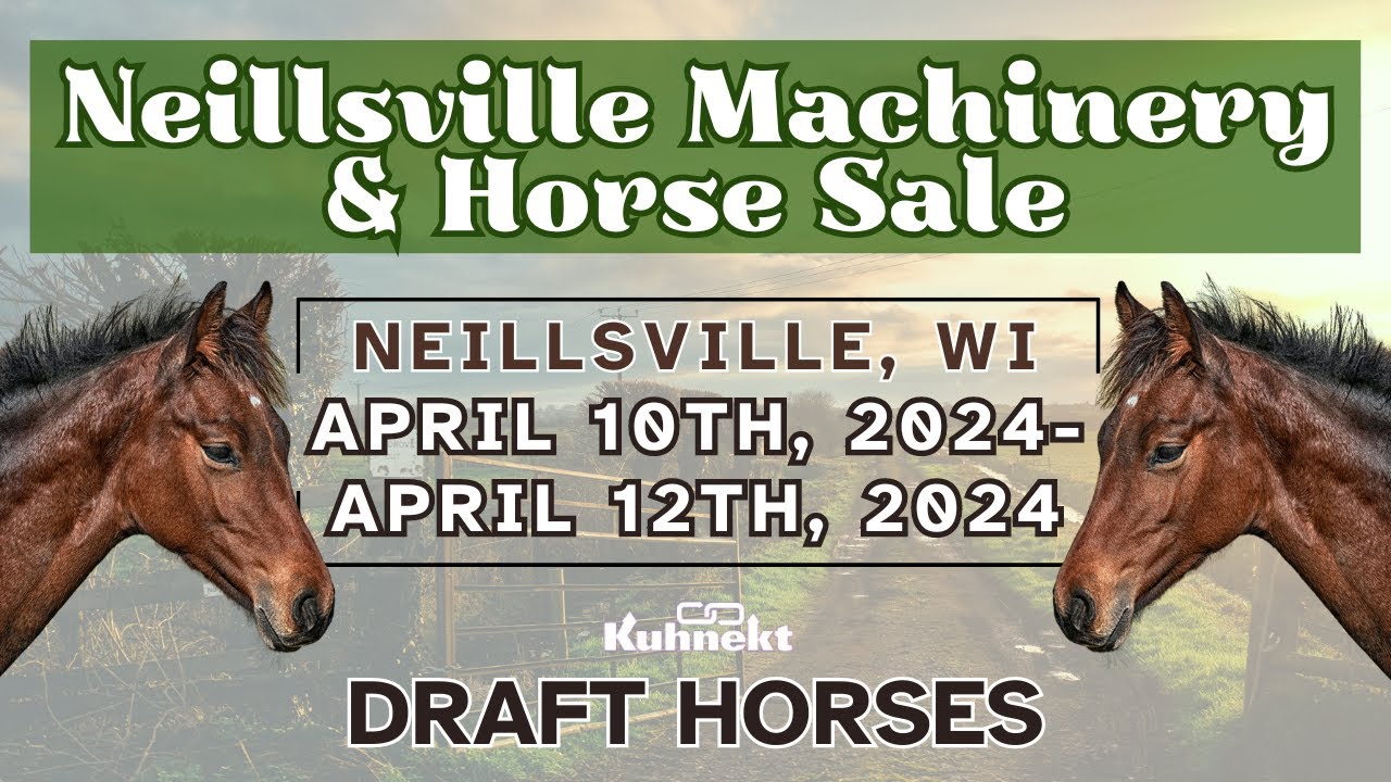 Preview of the Draft Horses 2024 Spring Machinery & Horse Sale