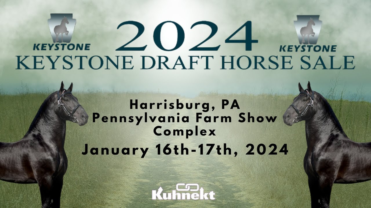 Previews & Podcast for the Keystone Draft Horse Sale Total Horse