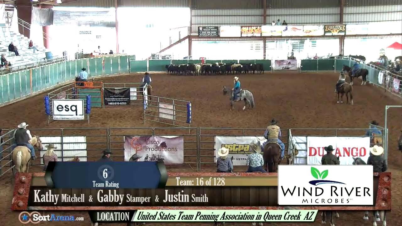 Quarrel in Queen Creek March 11th, 2023 Total Horse Channel