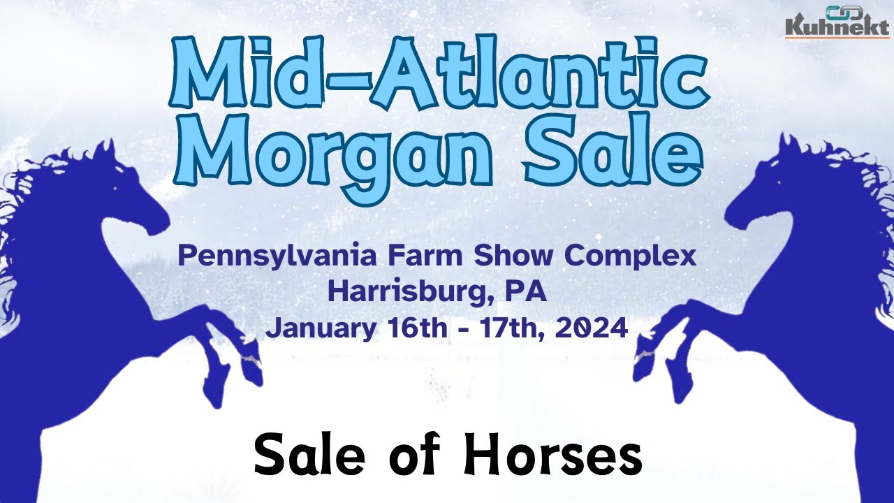 Sale of Horses 2024 Mid Atlantic Horse Sale Total