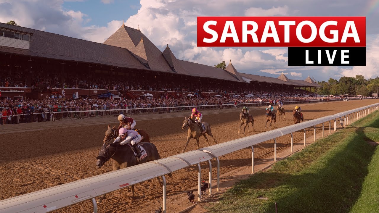 Saratoga Live August 8th, 2024 Total Horse Channel Equestrian TV