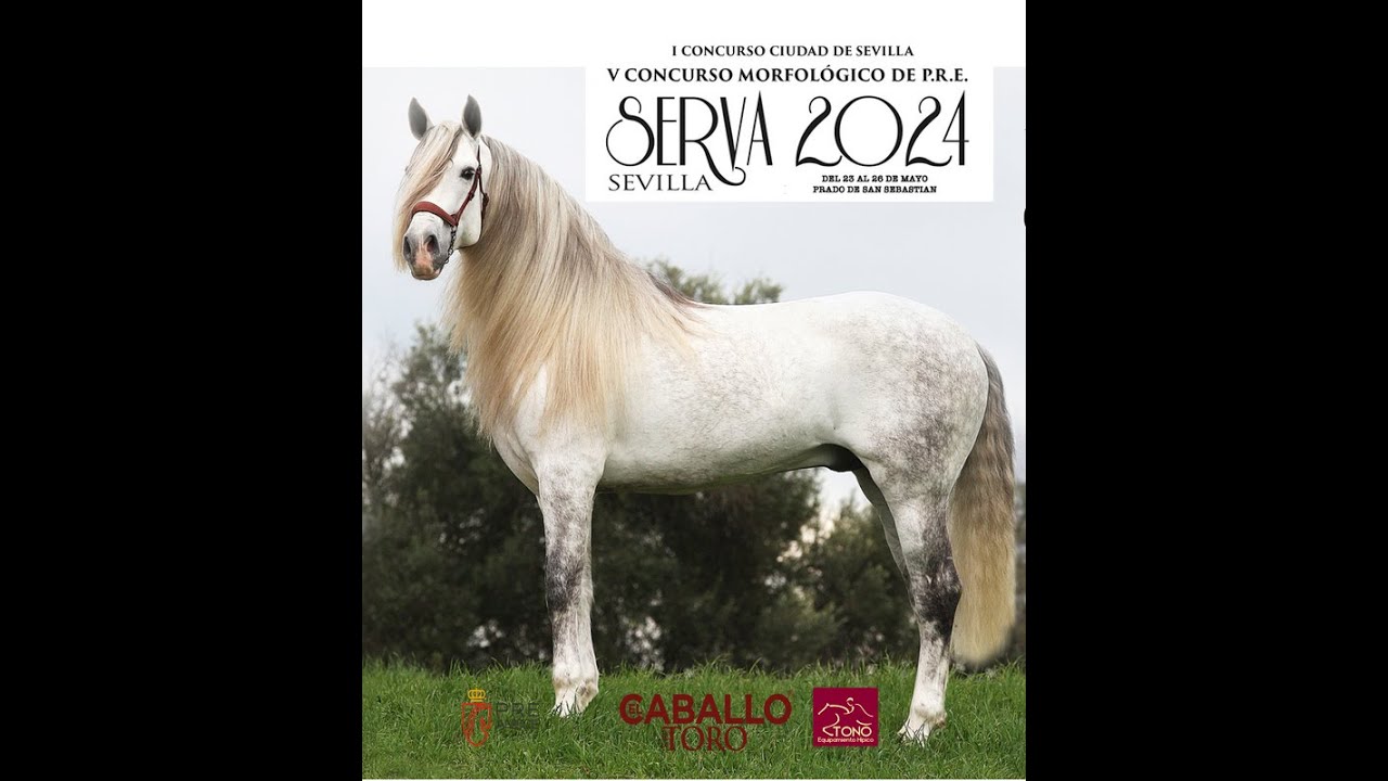 Serva 2024 Concurso Morfológico de PRE Clasificatorio para SICAB Cto del Mundo ANCCE Total