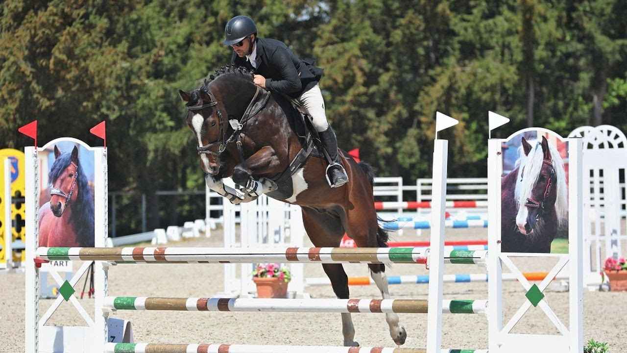 Show Jumping | Criterion of Young Horses - Total Horse Channel ...