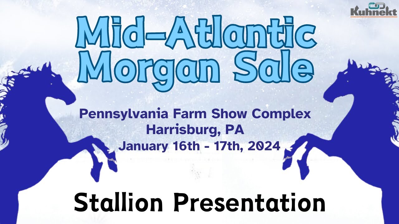 Stallion Presentation 2024 Mid Atlantic Horse Sale Total