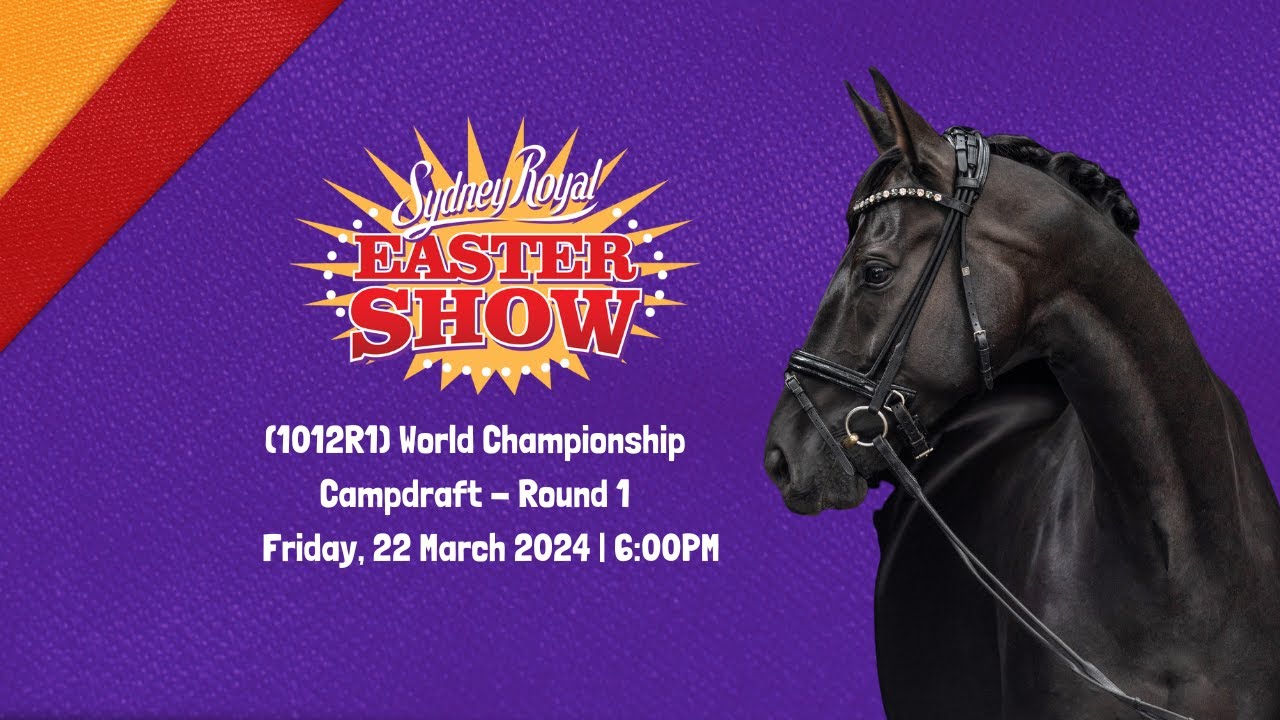 Sydney Royal Easter Show World Championship Campdraft Round 1