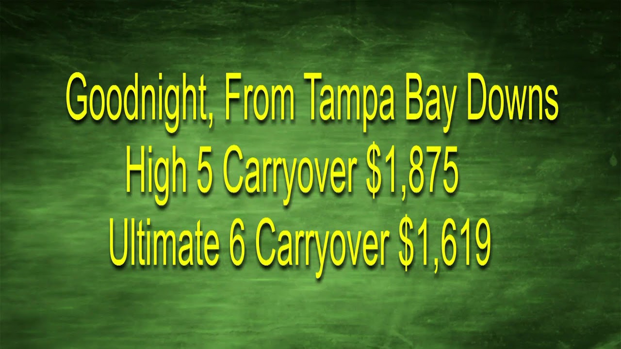 Tampa Bay Downs April 24th, 2024 Total Horse Channel Equestrian TV