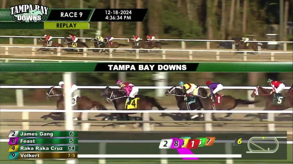 Tampa Bay Downs | December 18th, 2024