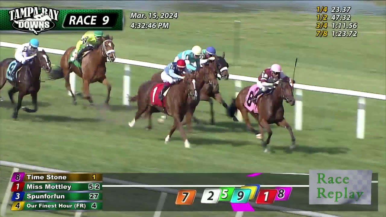 Tampa Bay Downs March 15th 2024 Total Horse Channel Equestrian TV tampa-bay-downs-march-15th-2024-total-horse-channel-equestrian-tv