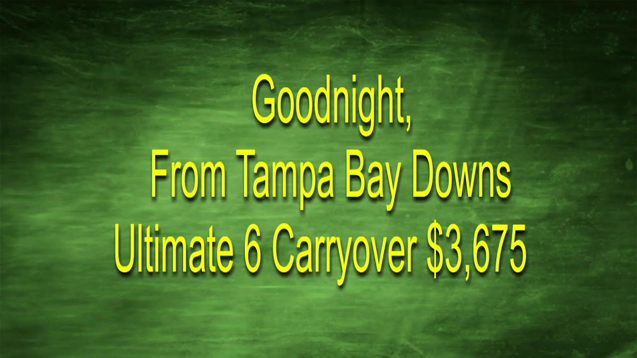 Tampa Bay Downs March 16th, 2024 Total Horse Channel Equestrian TV