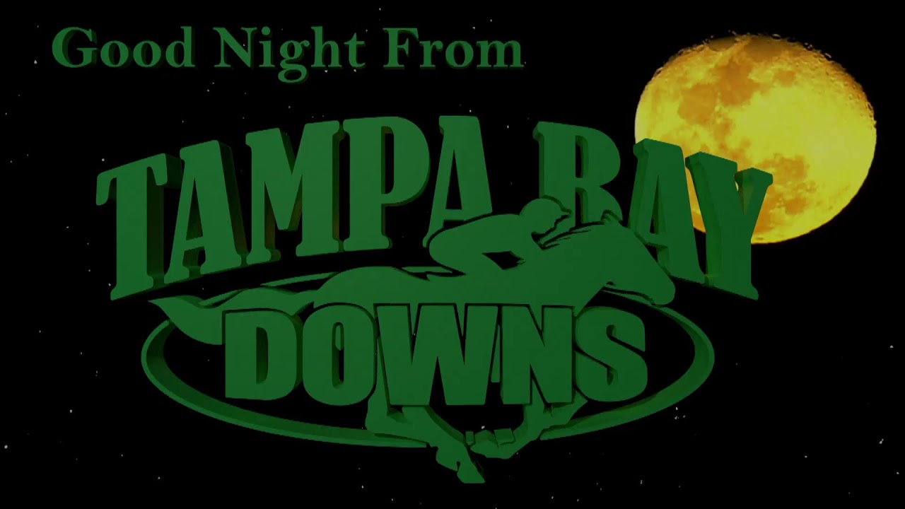 Tampa Bay Downs May 1st 2024 Total Horse Channel Equestrian TV tampa-bay-downs-may-1st-2024-total-horse-channel-equestrian-tv