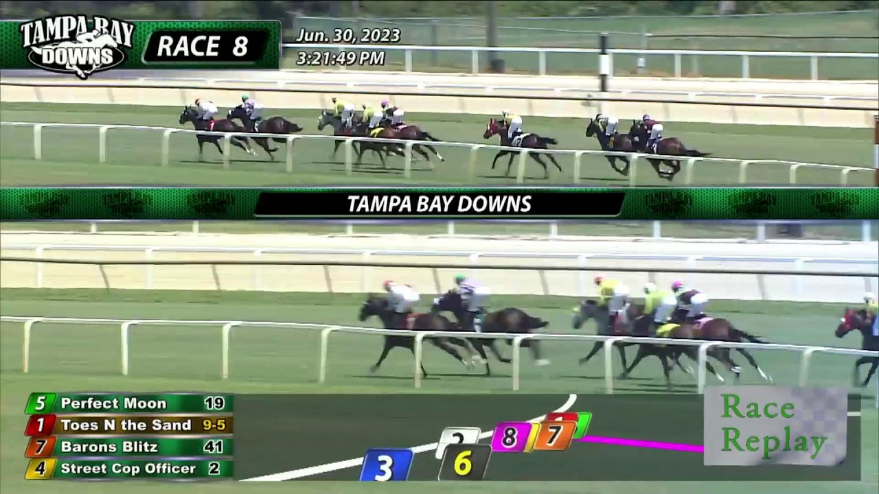 Tampa Bay Downs November 22nd, 2023 Total Horse Channel Equestrian TV