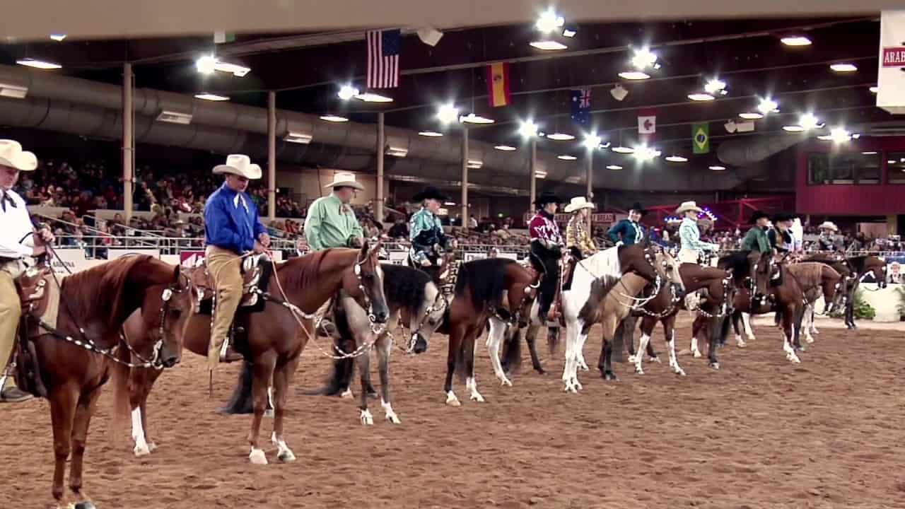 The Arabian Horse | A Living Legend - Total Horse Channel | Equestrian TV