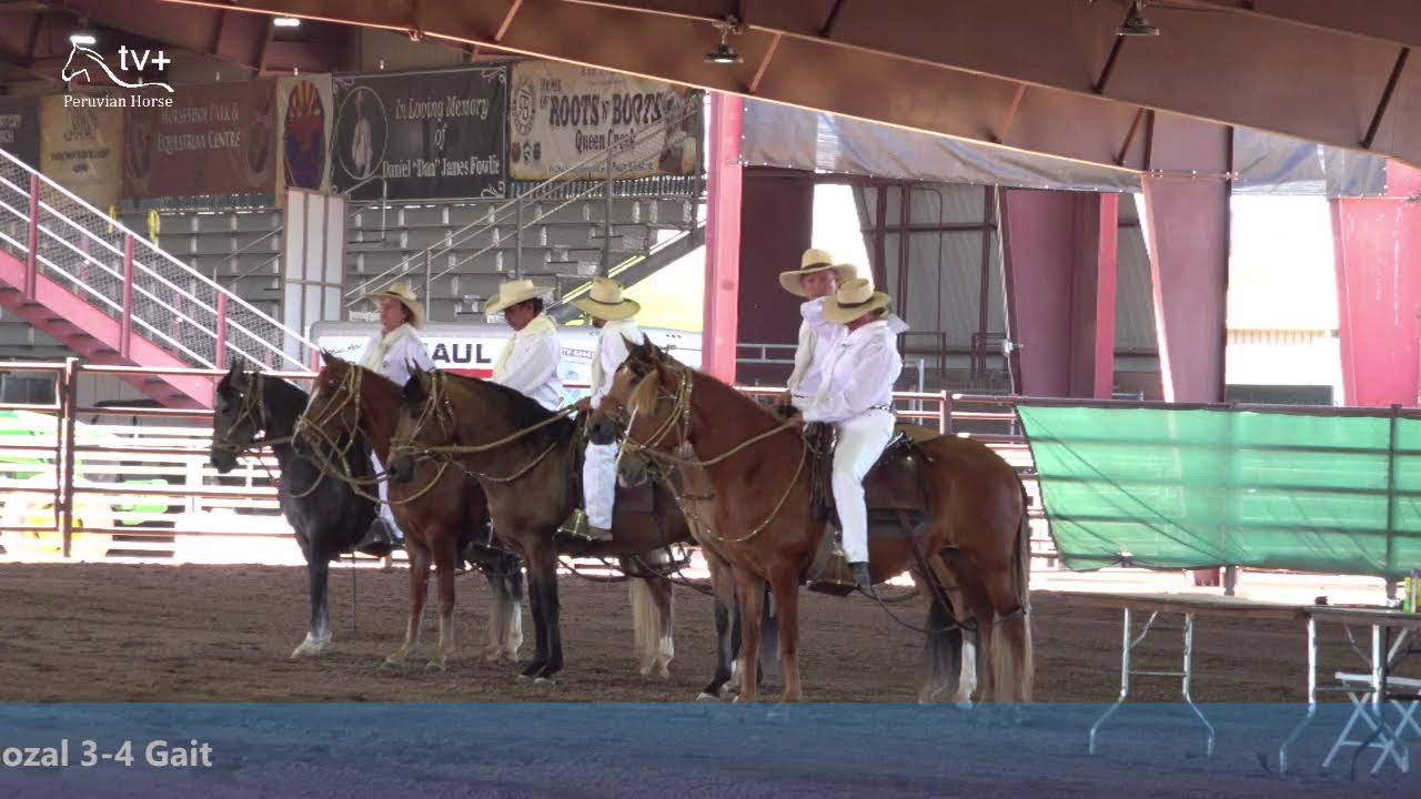 The Cactus Classic | Saturday Morning - Total Horse Channel | Equestrian TV