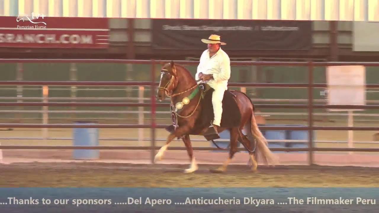 The Cactus Classic | Sunday Afternoon - Total Horse Channel | Equestrian TV