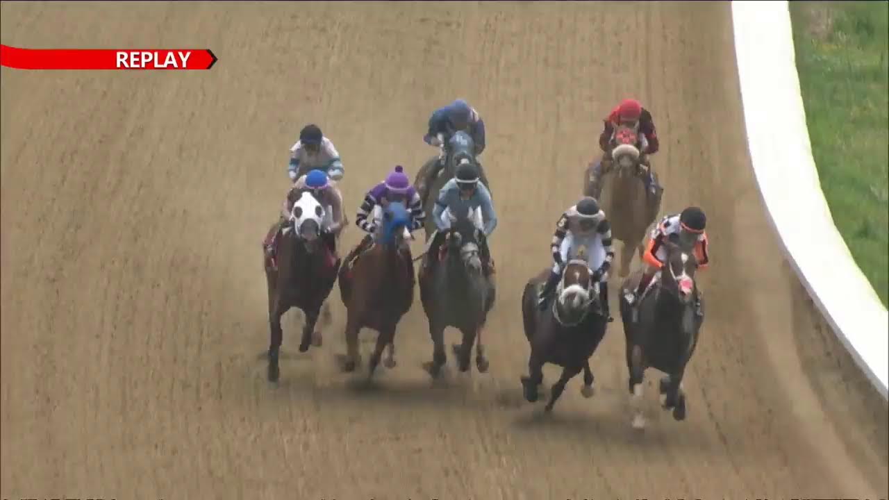 Thistledown Race Track July 4th 2024 Total Horse Channel thistledown-race-track-july-4th-2024-total-horse-channel