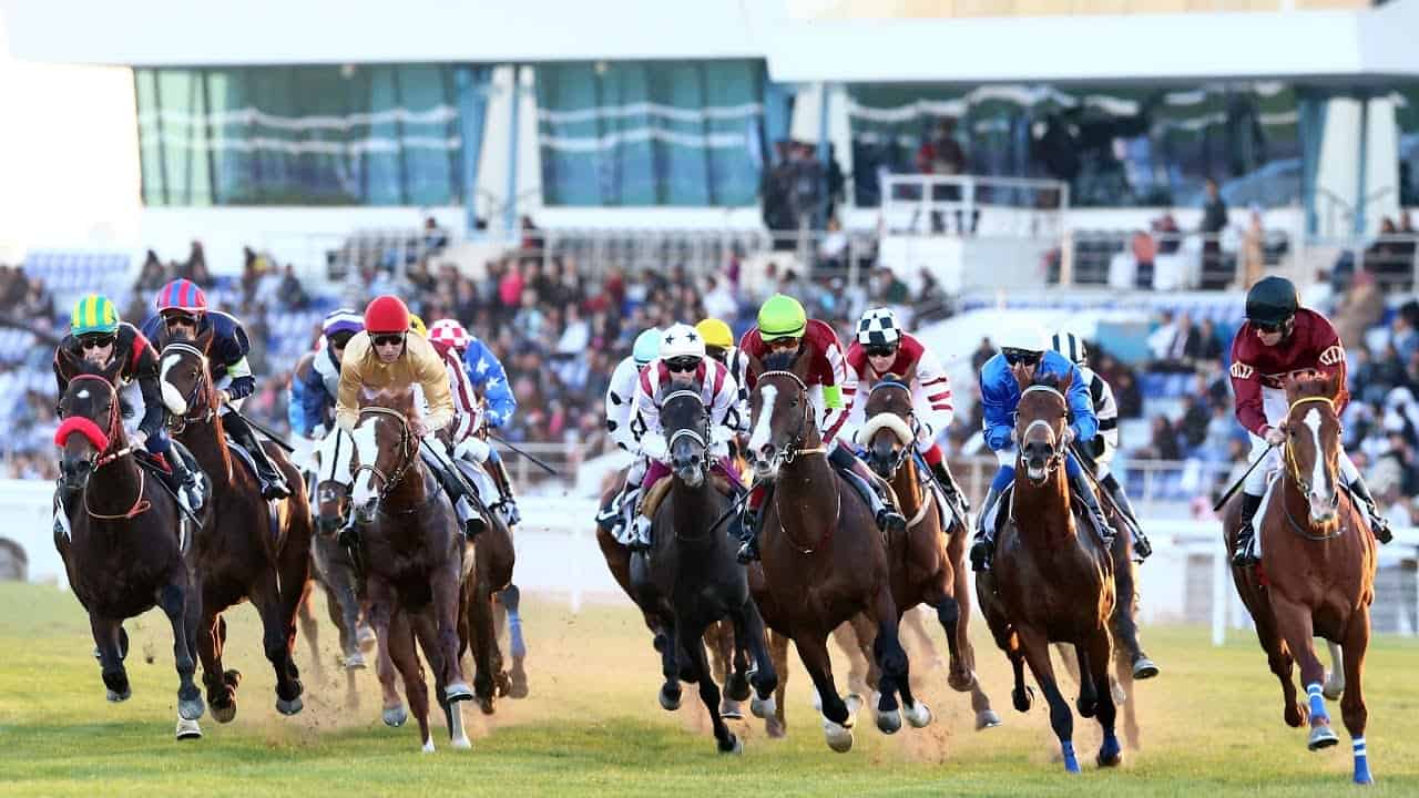 Umm Taqa Cup | Horse Racing | LIVE - Total Horse Channel | Equestrian TV