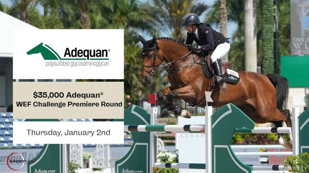 Wellington | $35,000 Adequan WEF Challenge Cup Premiere Round