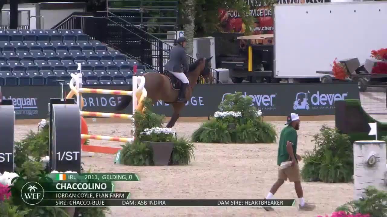 Wellington International 62,500 Bainbridge CDI5* 1.50m Total Horse