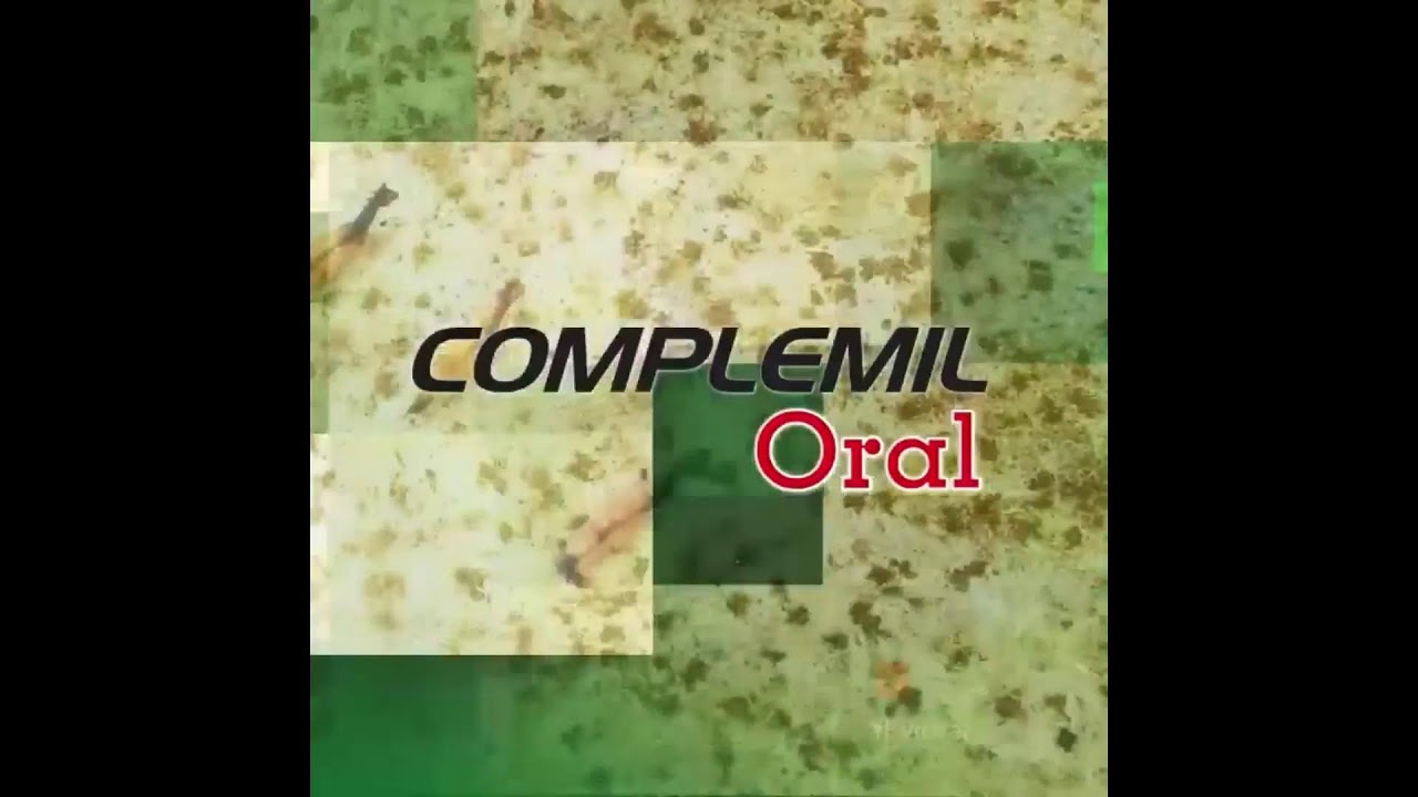 Xxxi Copa America Equina Asdeoccidente 2023 Dia 4 Total Horse Channel