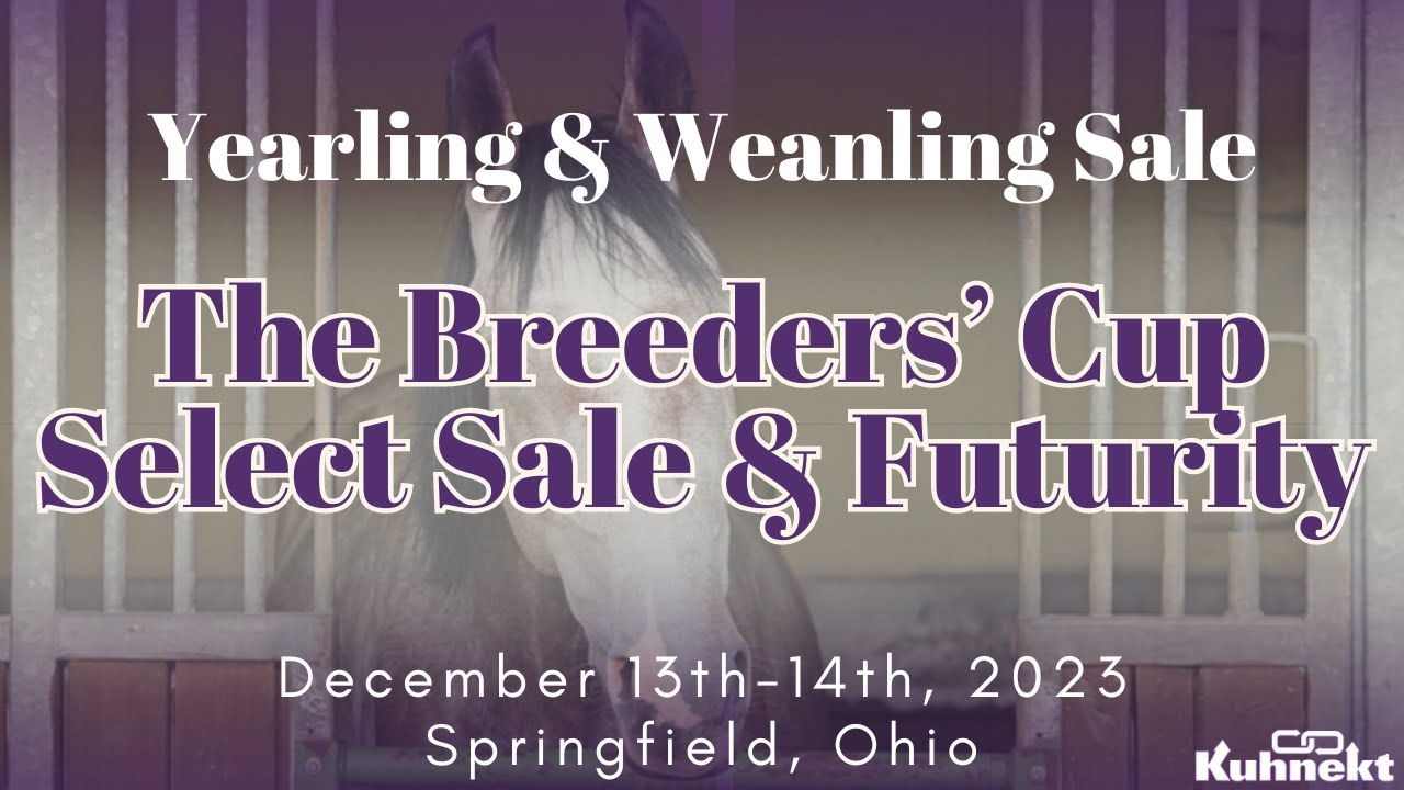 Yearling & Weanling Sale 2023 Breeder’s Cup Select Sale & Futurity